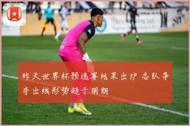昨天世界杯预选赛结果出炉 各队争夺出线形势趋于明朗