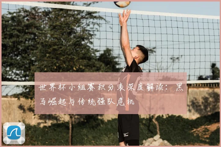 世界杯小组赛积分表深度解读：黑马崛起与传统强队危机
