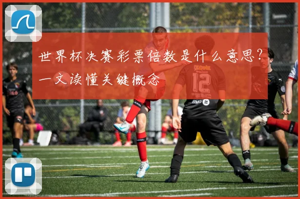 世界杯决赛彩票倍数是什么意思？一文读懂关键概念