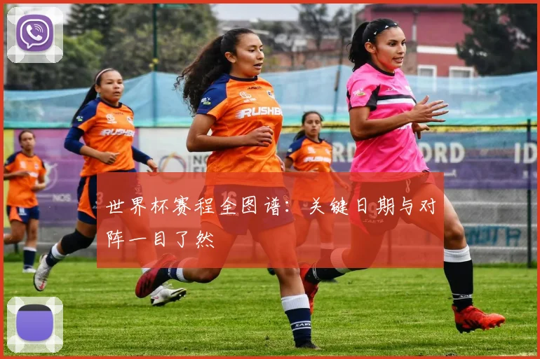 世界杯赛程全图谱：关键日期与对阵一目了然